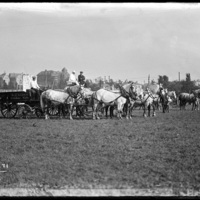 Image of horse driven carts on the grounds of the Worcester Fair
