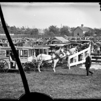 Dairy trucks at the New England Fair