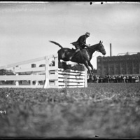 Horse jumper at the Worcester Fair