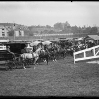 Horse drawn carts at the New England Fair
