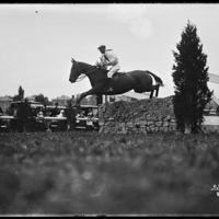 Horse jumper at the New England Fair