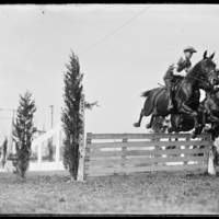 Horse jumpers at New England Fair, Worcester