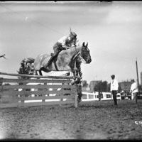 Horse jump at Worcester Fairgrounds