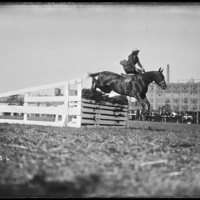Horse jumpers at New England Fair, Worcester
