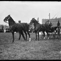 Horse drawn cart at the New England Fair