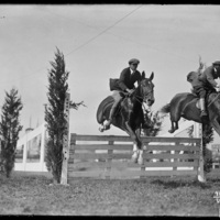 Horse jumpers at the New England Fair, Worcester