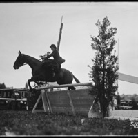 Horse jumping at the New England Fair