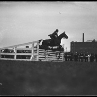 Horse jumper at  New England Fair