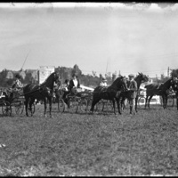 Horse drawn carts at the New England Fair