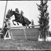 Horse jumper at New England Fair, Worcester