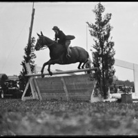 Horse jumping at the New England Fair