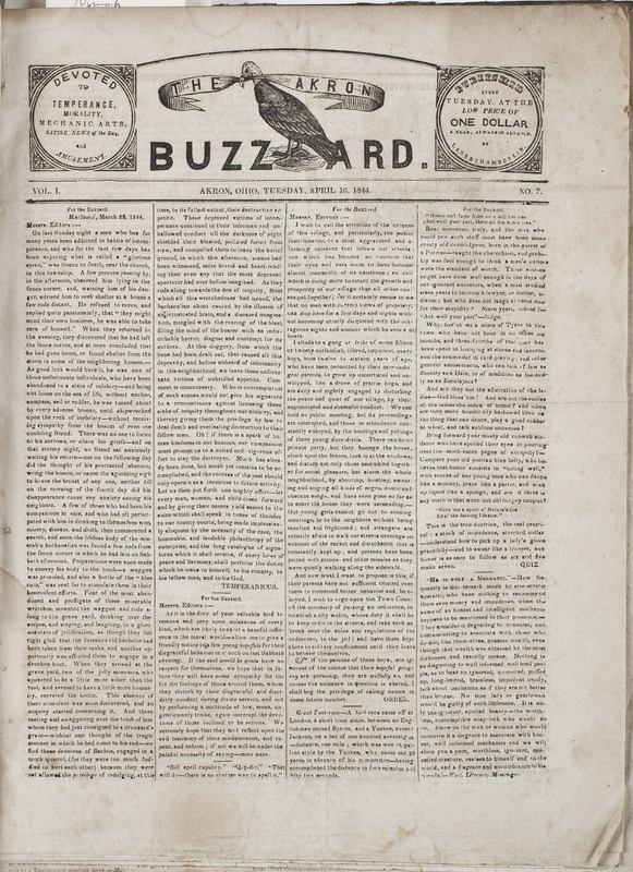 AkronBuzzard_0001.JPG