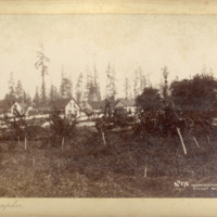 Indian Reservation, Puyallup, WT 