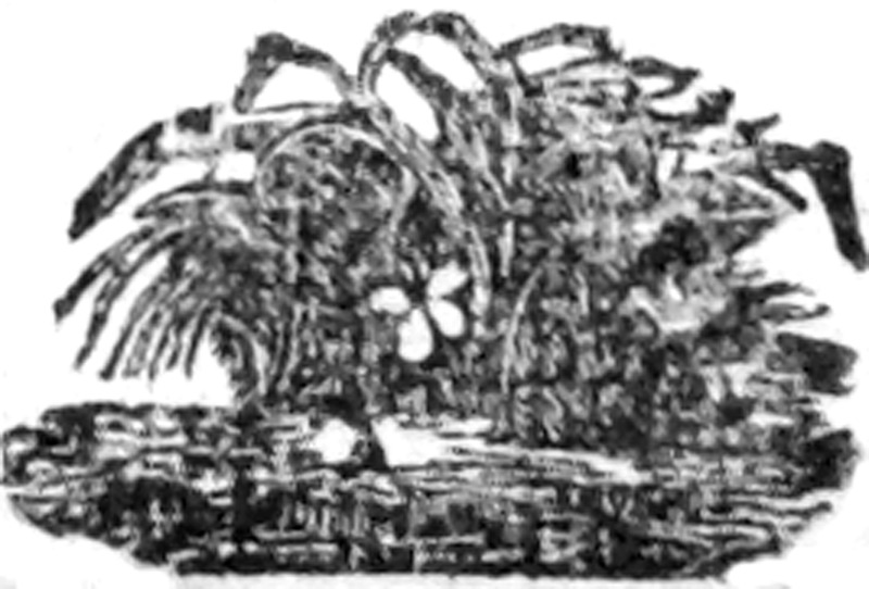296364_C&O.tif
