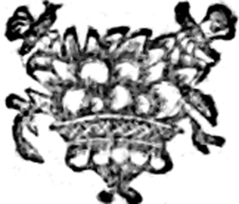 282111_C&O.tif