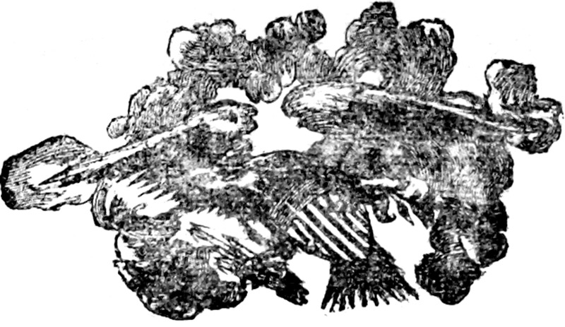 291175_C&O.tif