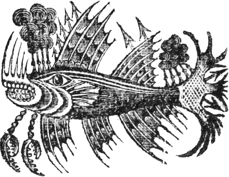 276293_C&O.tif