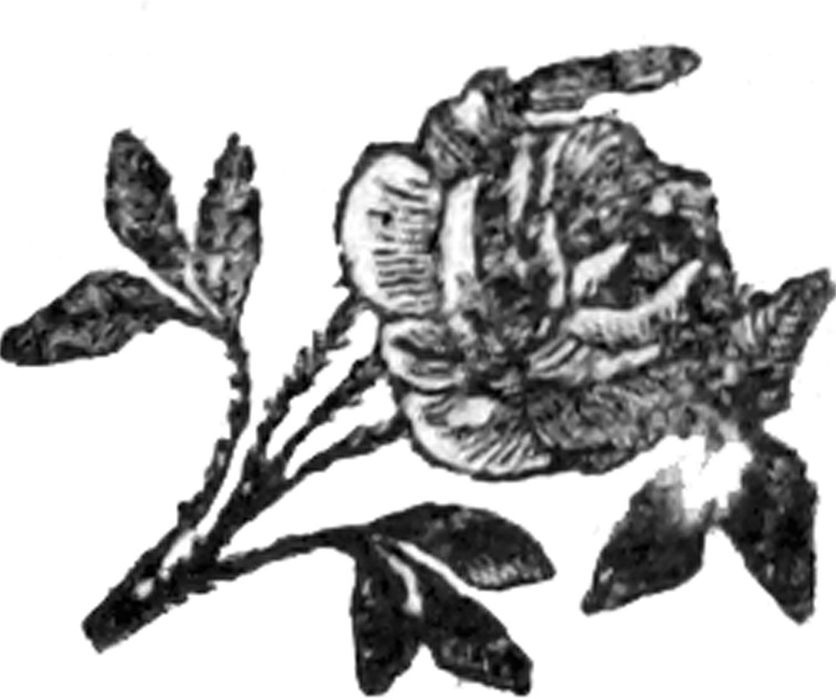 287168_C&O.tif