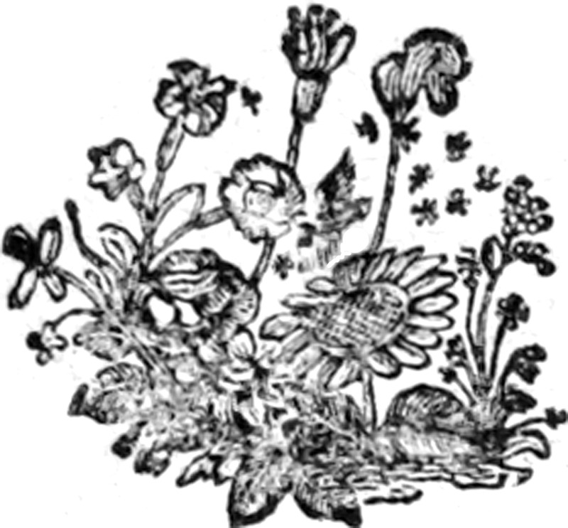 280763_C&O.tif