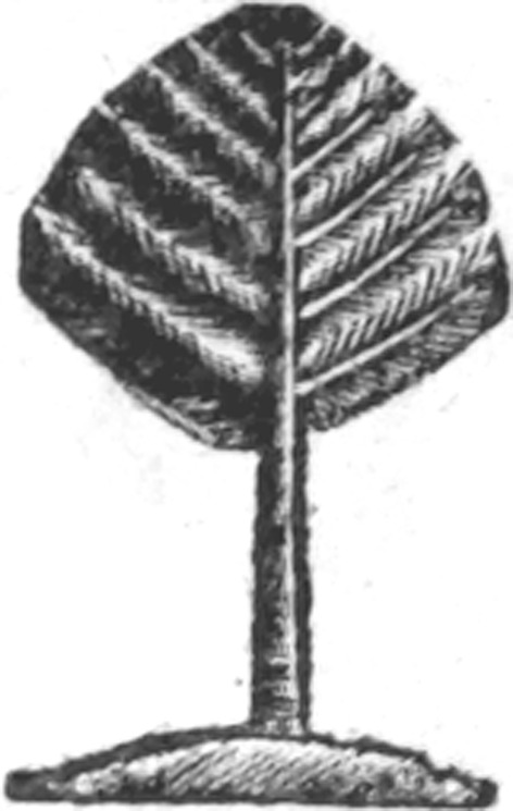306656_C&O.tif
