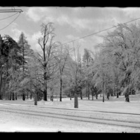 Winter scene in Worcester