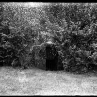 Gate surrounded by bushes